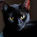 Profile Picture of robert wroblewski (@robertwroblewski183) on Pinterest