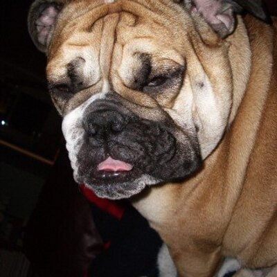 Profile Picture of Mark Dresser (@MadMarkio) on Twitter