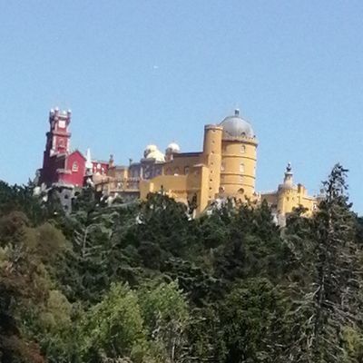 Profile Picture of Karan_Singh (@shelly_holden) on Tiktok