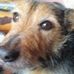 Profile Picture of Simon Brook (@simon.brook.961) on Facebook