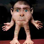 Profile Picture of Craig Wakeman (@craig_wakeman) on Instagram