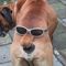 Profile Picture of Pierre Connor (@connor.pierre.18) on Facebook