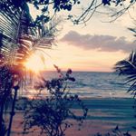 Travis Franz - Instagram Profile Picture of Travis Franz (@travis.franz.54) on Instagram