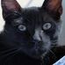 Profile Picture of Harold Cano (@harold.cano.73) on Facebook