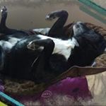 Profile Picture of Alex Fairley (@alex.fairley.370) on Instagram