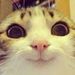 Profile Picture of Haace (@jonathansylvain6) on Pinterest