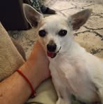 Profile Picture of Bill McCanless (@bill.mccanless.3) on Facebook