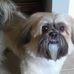 Profile Picture of Bentley Wilbert (@bentley.wilbert) on Facebook