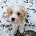 Profile Picture of Amy Mikec-Crichfield (@amymikec) on Pinterest