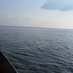 Profile Picture of Scott Carrier (@carrierscott) on Instagram