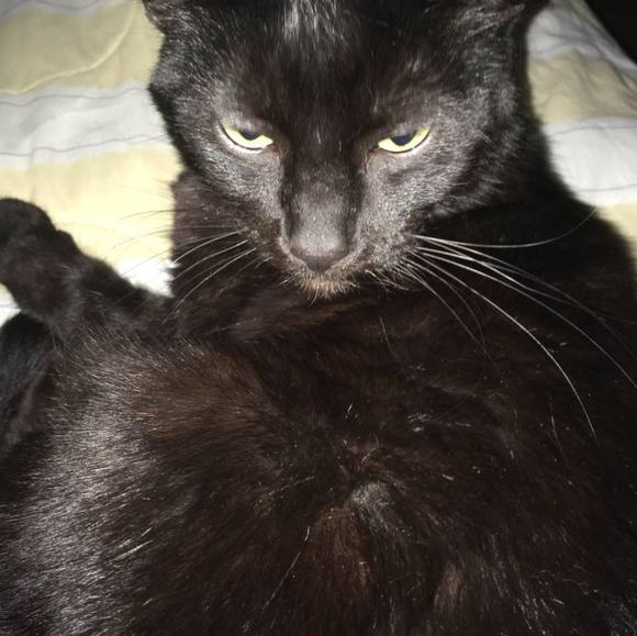 Profile Picture of Tristan Pearson (@enjoyer15) on Poshmark