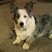 Profile Picture of Randy Boyer (@randy.boyer.507) on Facebook