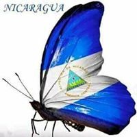 Profile Picture of Jolynn Cook (@jolynn_cook) on Pinterest