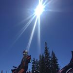 Profile Picture of Steve Hutchings (@hutchings8870) on Instagram