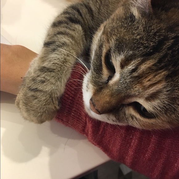 Profile Picture of Lorena Wong (@lorena_w) on Poshmark