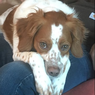 Profile Picture of Kevin Wiebe (@KevinWiebe4) on Twitter