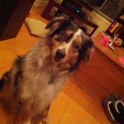 Profile Picture of Paré Shawn (@Impact_ll) on Twitter