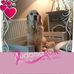 Profile Picture of Delphine Hanon Carpreau (@delphine.hanoncarpreau) on Facebook