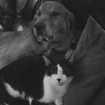 Profile Picture of Karen Gregory Abbott (@karengregoryabbott) on Instagram