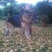 Profile Picture of Jeanette Pfeiffer (@jeanette.pfeiffer.75) on Facebook