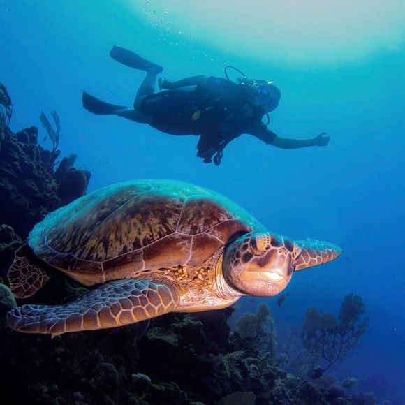 Eva Figura - Poshmark Profile Picture of Eva Figura (@efigura) on Poshmark