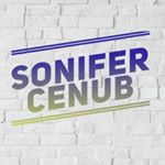 Profile Picture of 🔺ʙᴀᴋɪ ᴠᴇ ʟᴇɴᴋᴇʀᴀɴ ᴄᴀᴛᴅɪʀɪʟᴍᴀ (@sonifer_cenub) on Instagram