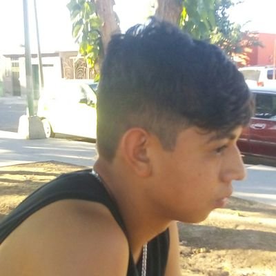 Profile Picture of Rodrigo Alexander Lozoya (@LozoyaAlexander) on Twitter