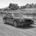 Profile Picture of Andrew Laverty (@DSCobra01) on Flickr