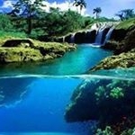 Profile Picture of Scott Rossiter (@rossiter_scott) on Instagram