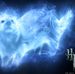 Profile Picture of Richard Capo (@richard.capo.96) on Facebook