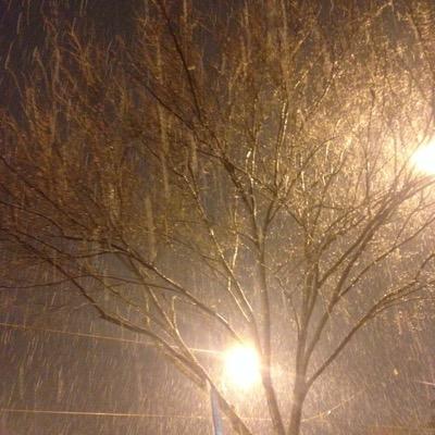 Profile Picture of Deleted Account (@GraceRutledge80) on Twitter