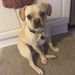 Profile Picture of Nancy Walker-Rudy (@nancywalkerrudy) on Pinterest