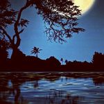 Profile Picture of Paul Valladares (@valladares.paul) on Instagram