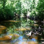 Profile Picture of Steffanie Smith (@steffanie.smith.12) on Instagram