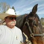 Profile Photo of Daniel DeRosier (@derosier1958) on Instagram