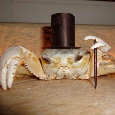 Profile Picture of Chris Schutz (@ckschutz) on Twitter