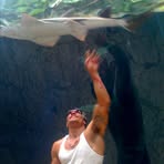 Profile Picture of David Maslin Barton (@DavidMaslinBarton) on Facebook