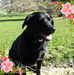 Profile Picture of Tracey Clifton (@tracey.clifton.10) on Facebook