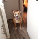 Profile Picture of Freda Dougherty (@freda.dougherty.75) on Facebook