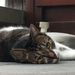 Profile Picture of Marc Heckmans (@marcheckmans) on Pinterest