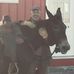 Profile Picture of Doug Cooper (@doug.cooper.16718) on Facebook