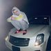 Profile Picture of Aaron Josey (@aaron.josey.254) on Facebook