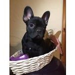 Profile Picture of Thomas Krenn (@thomaskrenn5829) on Instagram