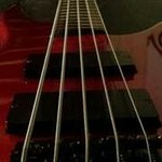 Profile Picture of Brian Siwek (@briansiwek) on Instagram