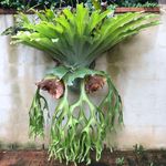 Profile Picture of Christopher Coote (@cootechristopher) on Instagram