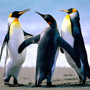 Profile Picture of Luis Lanuza (@luislanuza9452) on Youtube