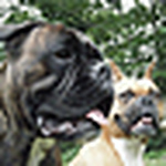 Tamara Debicka - Flickr Profile Picture of Tamara Debicka (@gosia-gosia) on Flickr