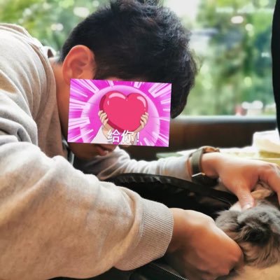 Profile Picture of Peter Shao (@PeterSh58764206) on Twitter