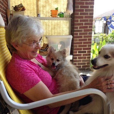 Profile Picture of Diane Snyder (@woof1121) on Twitter