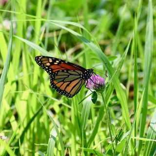 Profile Picture of Priscilla Casey (@priscilka.casey.9) on Facebook